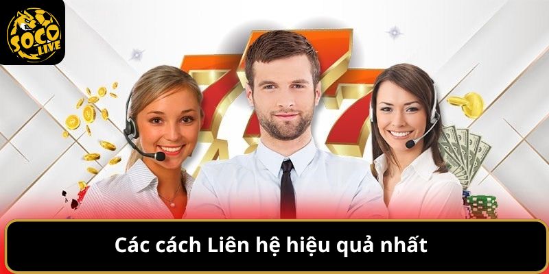 Liên hệ 2 Liên hệ