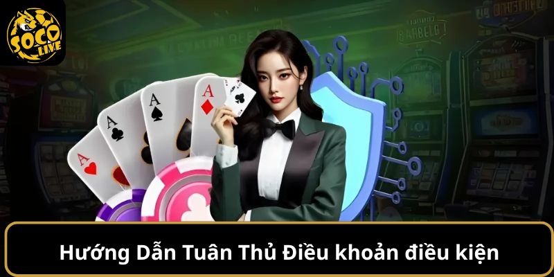 Điều khoản điều kiện 3 Điều khoản điều kiện