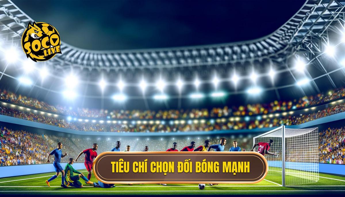 Tiêu chí chọn đối bóng mạnh: Hướng dẫn chi tiết dành cho người hâm mộ bóng đá 3 Tiêu chí chọn đối bóng mạnh