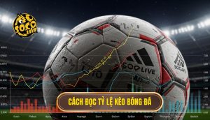 Cách đọc tỷ lệ kèo bóng đá