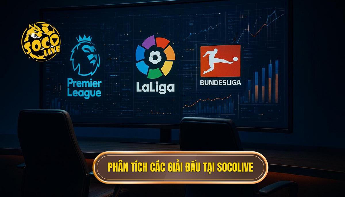 Phân tích chiều sâu các giải đấu được hỗ trợ tại socolive xem highlight