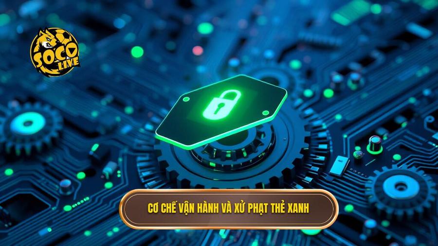 Cơ chế vận hành và quy định xử phạt của thẻ xanh